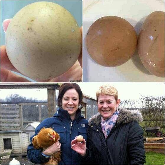 تخم مرغی که 2 میلیون تومان فروخته شد