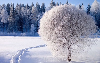 جملات زیبا در مورد زمستان