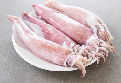 ماهی مرکب چیست ؟