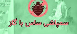 ساس از چی بدش میاد ؟